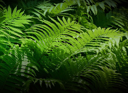 �й���7790�ط�����(�ɷ�)���޹�˾-�ٷ���վ